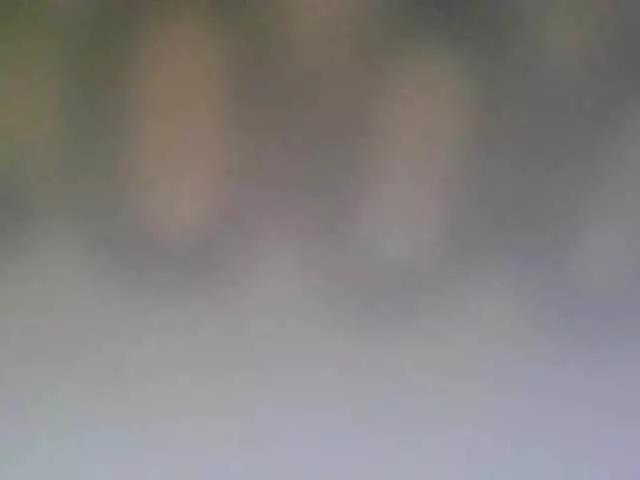 Adel0299 on BongaCams 