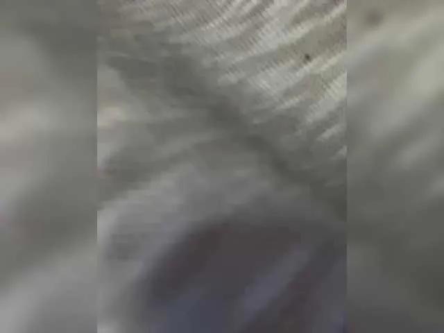 Offline Annieisonfire on BongaCams