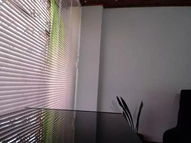 anniejhonsson on BongaCams 