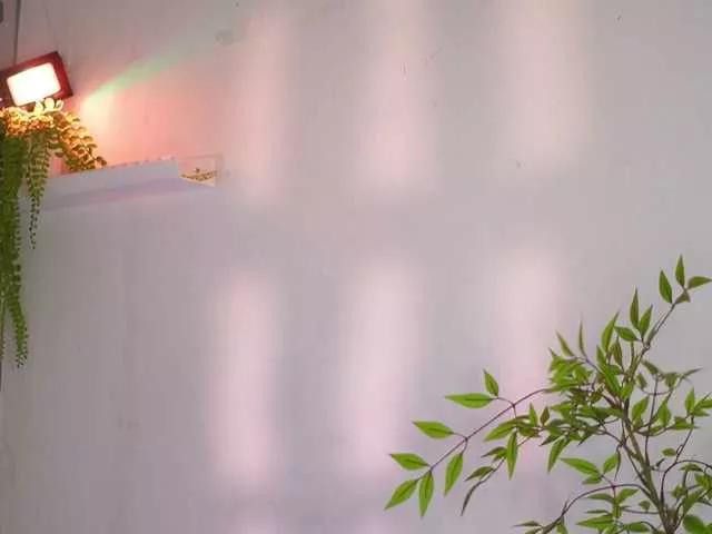 Bella-francoo on BongaCams 