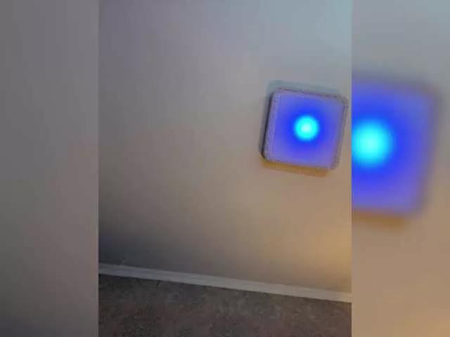 PALMIIRA on BongaCams 