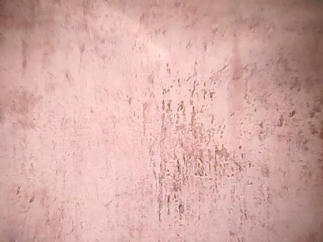 princillah1 on BongaCams 