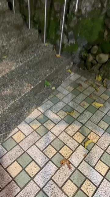 ccs588033123 on Cam4 