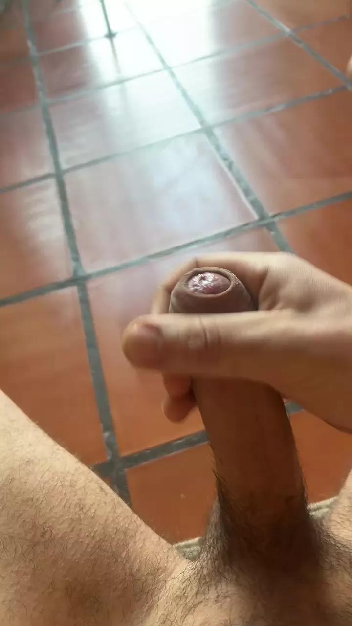luchasfun1 on Cam4 