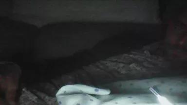 Newlife2025 on Cam4 