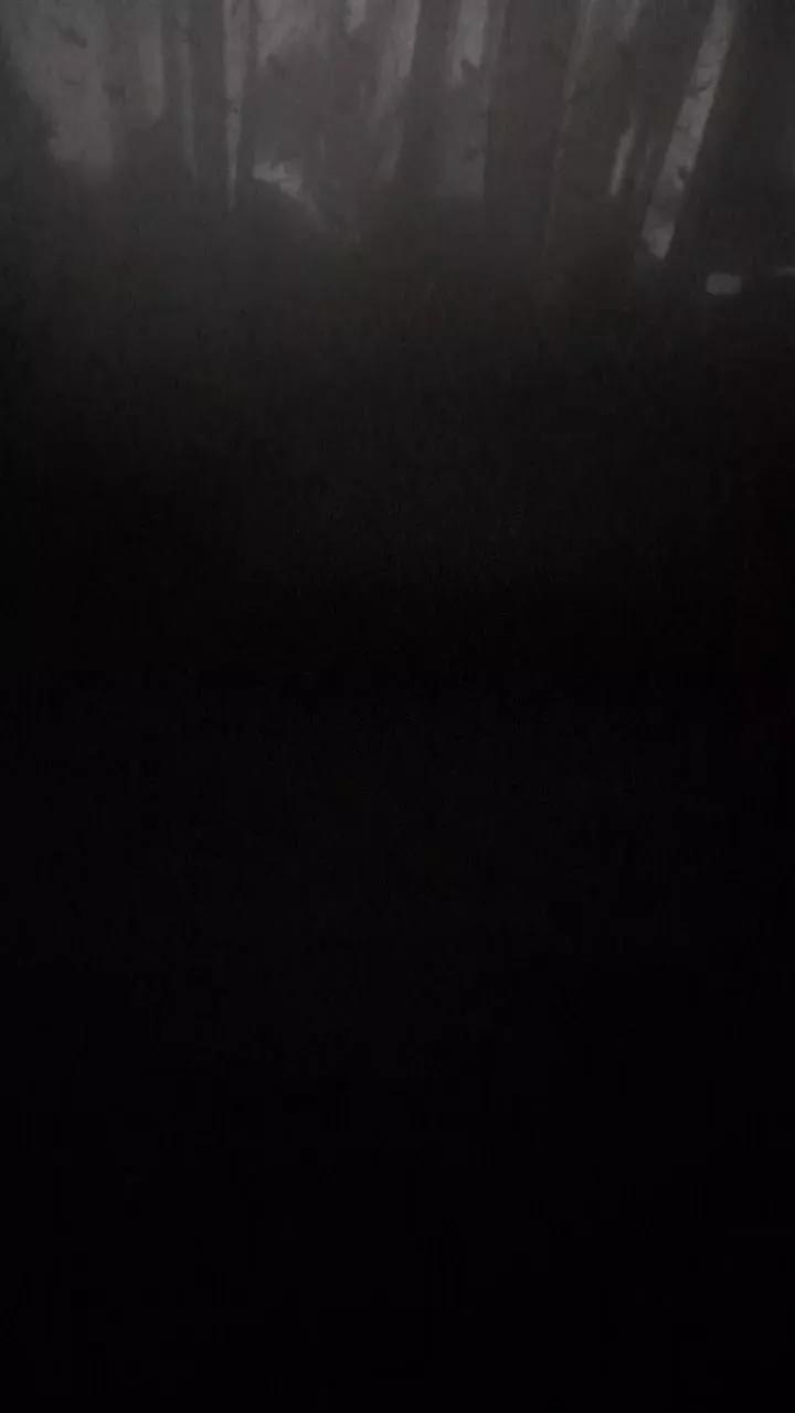 Tecojotodaa23 on Cam4 