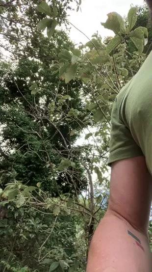 Tonypazer on Cam4 