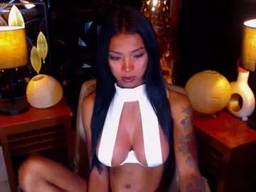 Freechat wildara on Chaturbate
