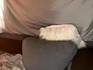 eric_thurman on Flirt4Free 