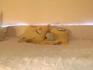 lilian_blincoe on Flirt4Free 