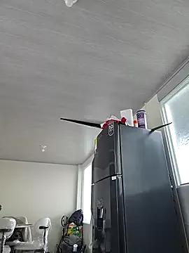 Freechat valery_mora on StripChat
